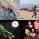 Clockwise from top left: John Blong, Apu Gomes (Getty Images), Benjamin Currie (Gizmodo) and Elena Scotti.